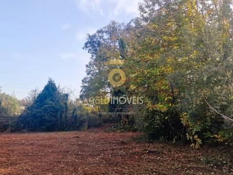 Terreno Rústico  Venda em Vila de Cucujães,Oliveira de Azeméis