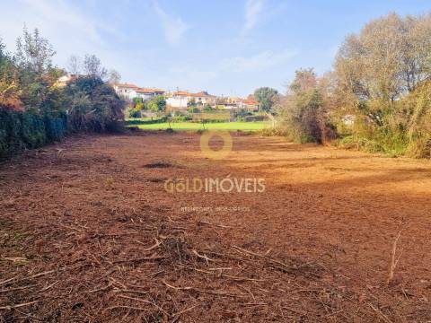 Terreno Rústico  Venda em Vila de Cucujães,Oliveira de Azeméis