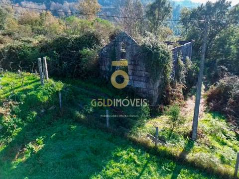 Terreno Rústico  Venda em Fornelos,Cinfães