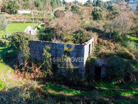 Terreno Rústico  Venda em Fornelos,Cinfães