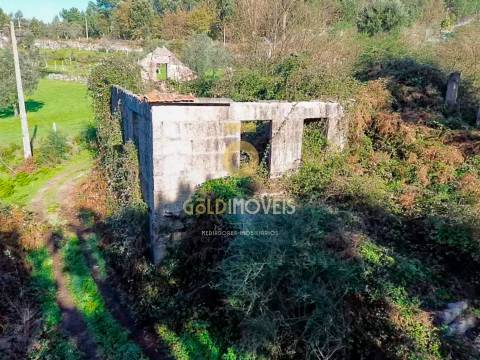 Terreno Rústico  Venda em Fornelos,Cinfães