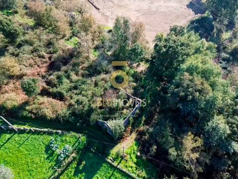 Terreno Rústico  Venda em Fornelos,Cinfães