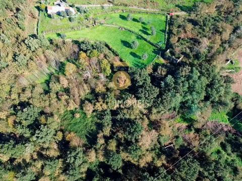 Terreno Rústico  Venda em Fornelos,Cinfães
