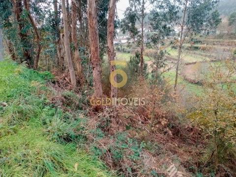 Terreno Rústico  Venda em Souselo,Cinfães
