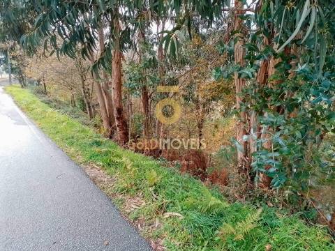 Terreno Rústico  Venda em Souselo,Cinfães