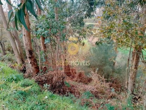 Terreno Rústico  Venda em Souselo,Cinfães