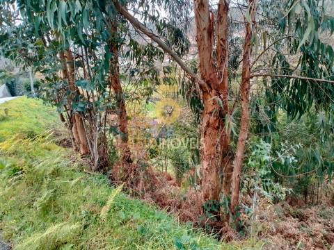 Terreno Rústico  Venda em Souselo,Cinfães