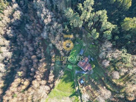 Moradia Geminada T2 Venda em Fornelos,Cinfães