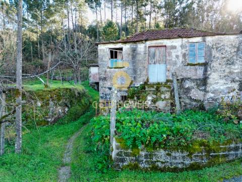 Moradia Geminada T2 Venda em Fornelos,Cinfães