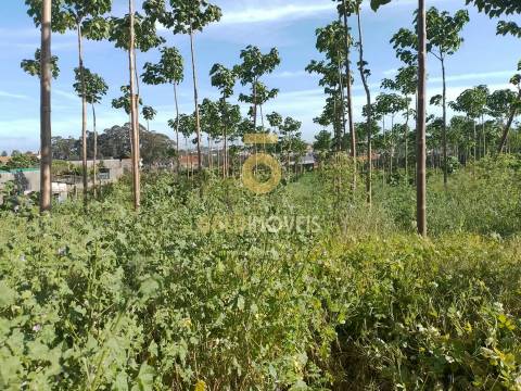 Terreno para Construção