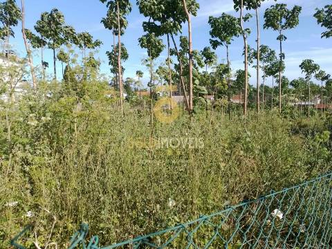 Terreno para Construção