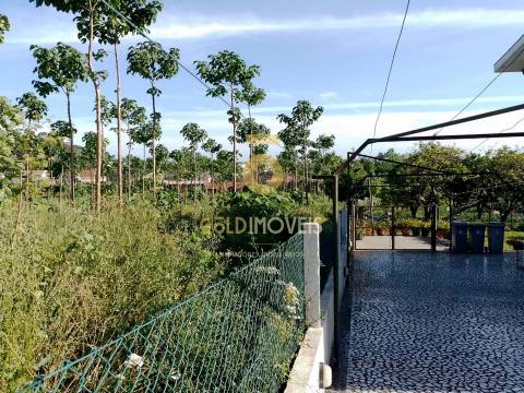 Terreno para Construção