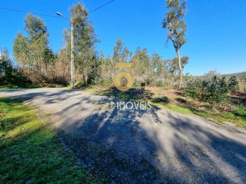 Terreno Urbano  Venda em Pinheiro da Bemposta, Travanca e Palmaz,Oliveira de Azeméis