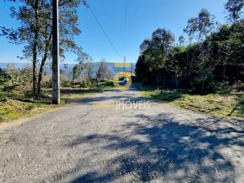 Terreno Urbano  Venda em Pinheiro da Bemposta, Travanca e Palmaz,Oliveira de Azeméis
