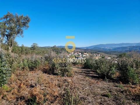 Terreno Urbano  Venda em Pinheiro da Bemposta, Travanca e Palmaz,Oliveira de Azeméis