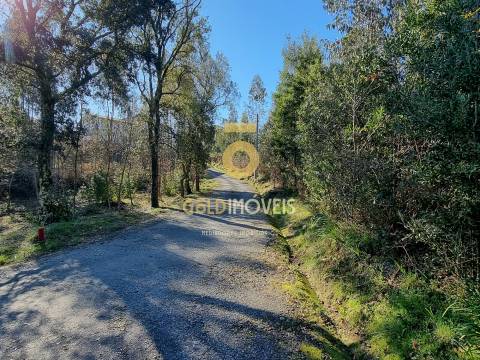 Terreno Urbano  Venda em Pinheiro da Bemposta, Travanca e Palmaz,Oliveira de Azeméis