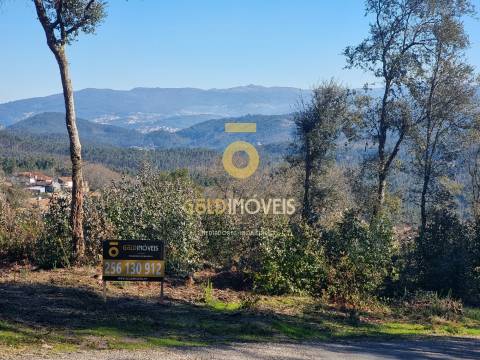 Terreno Urbano  Venda em Pinheiro da Bemposta, Travanca e Palmaz,Oliveira de Azeméis