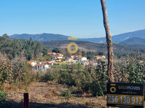 Terreno Urbano  Venda em Pinheiro da Bemposta, Travanca e Palmaz,Oliveira de Azeméis