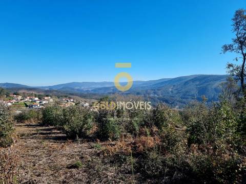 Terreno Urbano  Venda em Pinheiro da Bemposta, Travanca e Palmaz,Oliveira de Azeméis