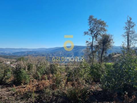 Terreno Urbano  Venda em Pinheiro da Bemposta, Travanca e Palmaz,Oliveira de Azeméis