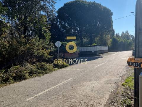 Terreno Urbano  Venda em Pinheiro da Bemposta, Travanca e Palmaz,Oliveira de Azeméis