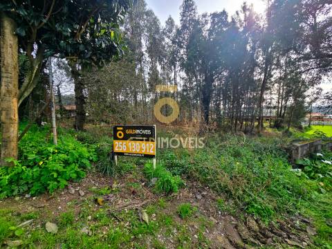 Terreno Rústico  Venda em São Martinho da Gândara,Oliveira de Azeméis