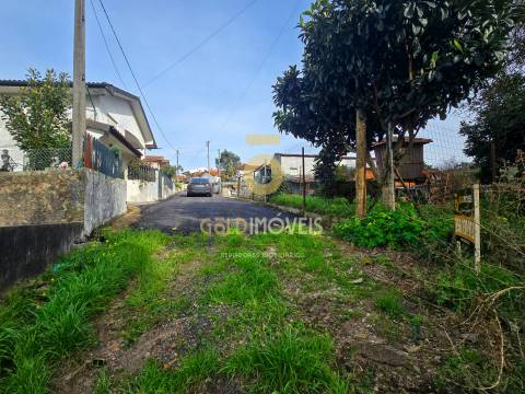 Terreno Rústico  Venda em São Martinho da Gândara,Oliveira de Azeméis