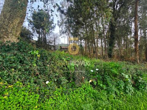 Terreno Rústico  Venda em São Martinho da Gândara,Oliveira de Azeméis