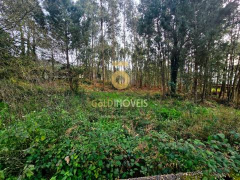 Terreno Rústico  Venda em São Martinho da Gândara,Oliveira de Azeméis