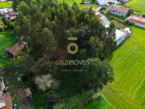 Terreno Rústico  Venda em São Martinho da Gândara,Oliveira de Azeméis