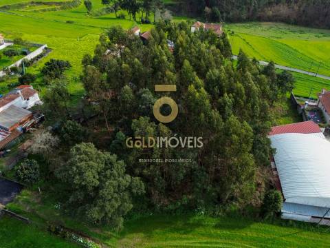 Terreno Rústico  Venda em São Martinho da Gândara,Oliveira de Azeméis
