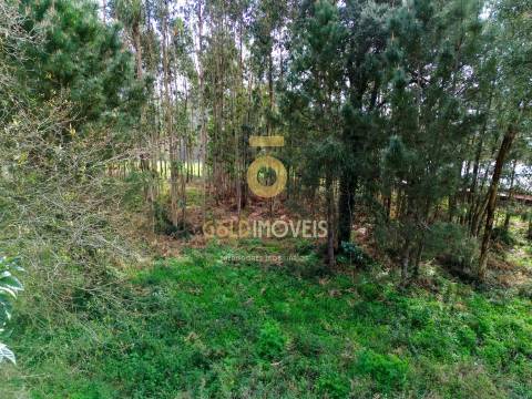 Terreno Rústico  Venda em São Martinho da Gândara,Oliveira de Azeméis