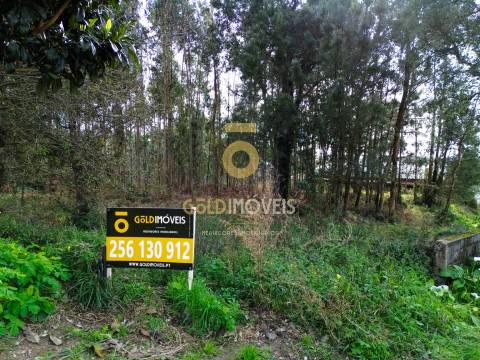 Terreno Rústico  Venda em São Martinho da Gândara,Oliveira de Azeméis