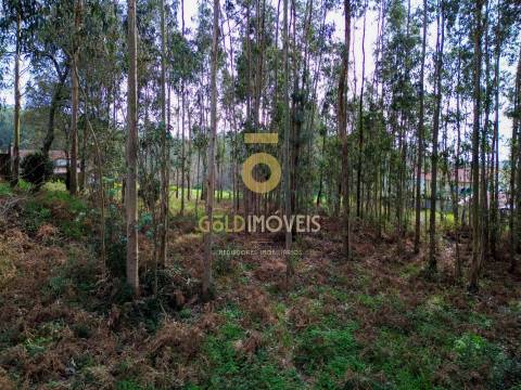 Terreno Rústico  Venda em São Martinho da Gândara,Oliveira de Azeméis