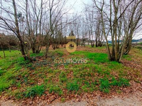 Terreno Rústico  Venda em Castelões,Penafiel