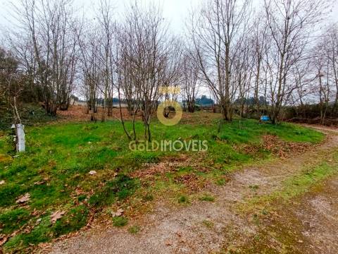 Terreno Rústico  Venda em Castelões,Penafiel
