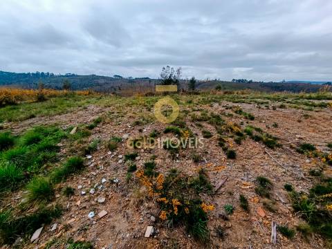 Terreno Para Construção  Venda em Sobreira,Paredes