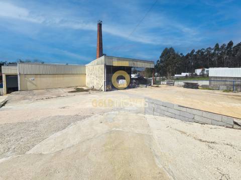 Fábrica/Indústria  Venda em Fiães,Santa Maria da Feira