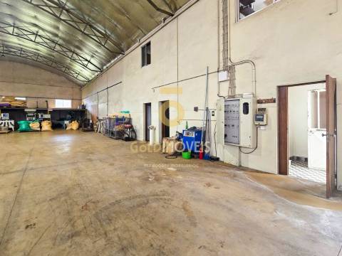 Fábrica/Indústria  Venda em Fiães,Santa Maria da Feira