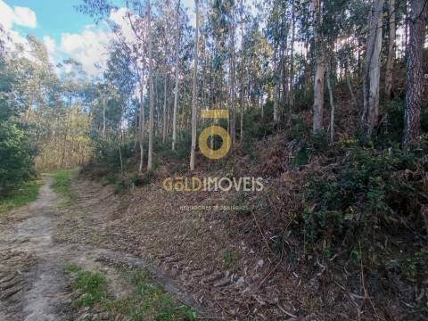 Terreno Rústico  Venda em Galegos,Penafiel