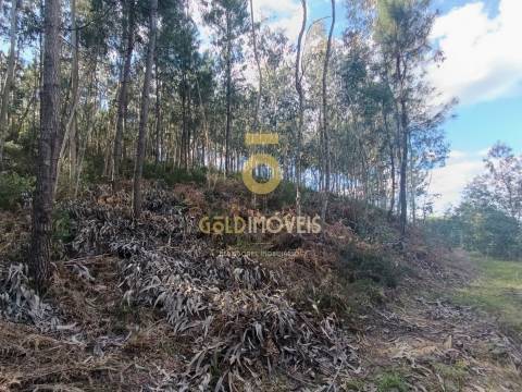 Terreno Rústico  Venda em Galegos,Penafiel