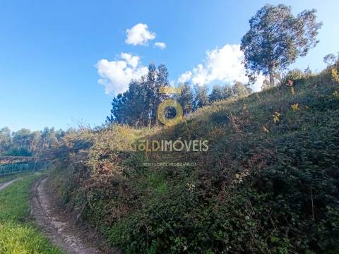 Terreno Rústico  Venda em Galegos,Penafiel