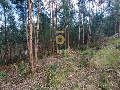 Terreno Rústico  Venda em Galegos,Penafiel