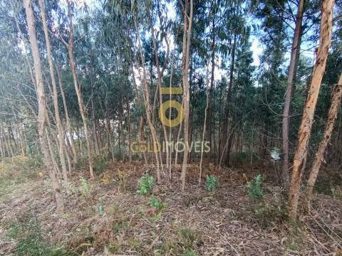 Terreno Rústico  Venda em Galegos,Penafiel