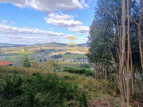 Terreno Rústico  Venda em Galegos,Penafiel