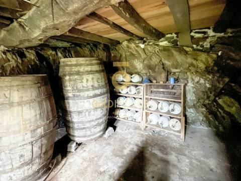 Moradia Devoluta T2 Venda em Real,Castelo de Paiva