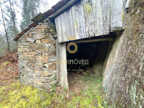 Moradia Devoluta T2 Venda em Real,Castelo de Paiva