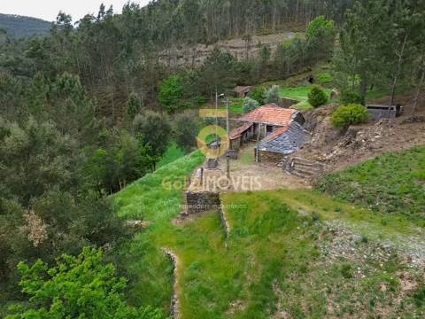 Moradia Devoluta T2 Venda em Real,Castelo de Paiva