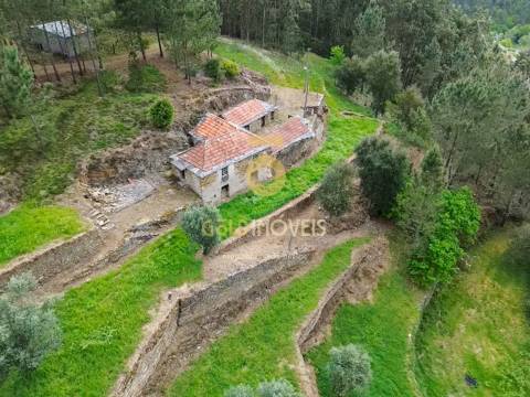 Moradia Devoluta T2 Venda em Real,Castelo de Paiva
