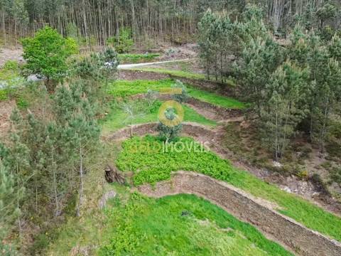 Moradia Devoluta T2 Venda em Real,Castelo de Paiva